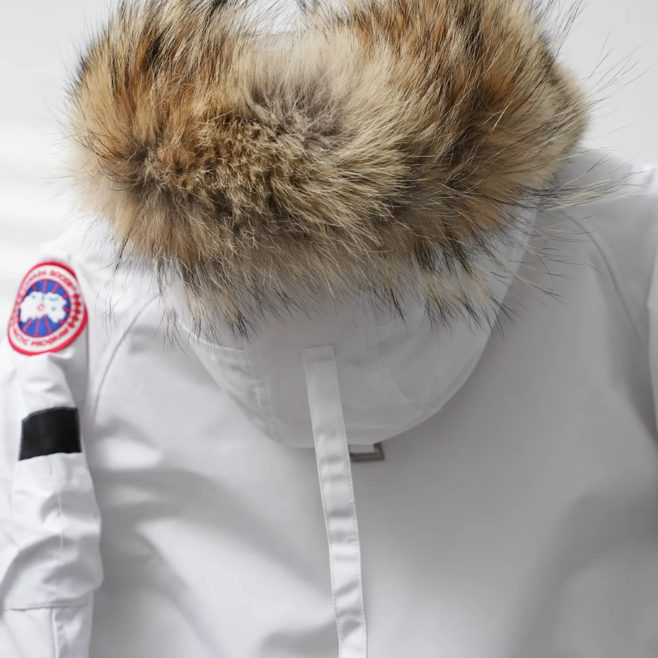 P760 CANADA GOOSE丨Canada Goose 02 hooded fur collar down jacket Color: Beichen White Size: XS-XL